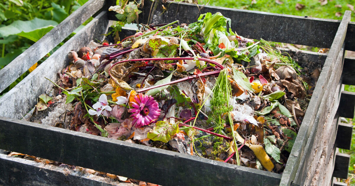 compost pour jardin naturel